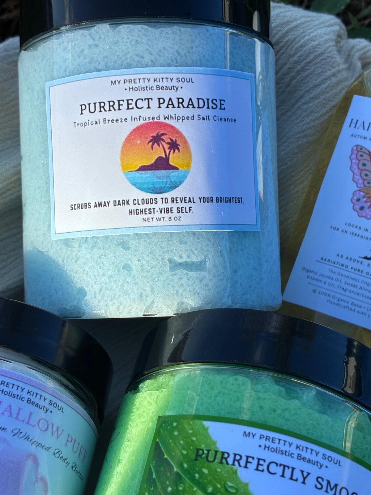 Purr-Fect Paradise